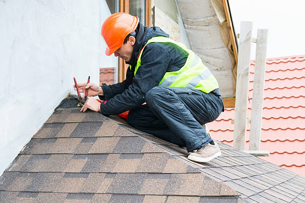 Best Roof Gutter Cleaning  in Fort Plain, NY